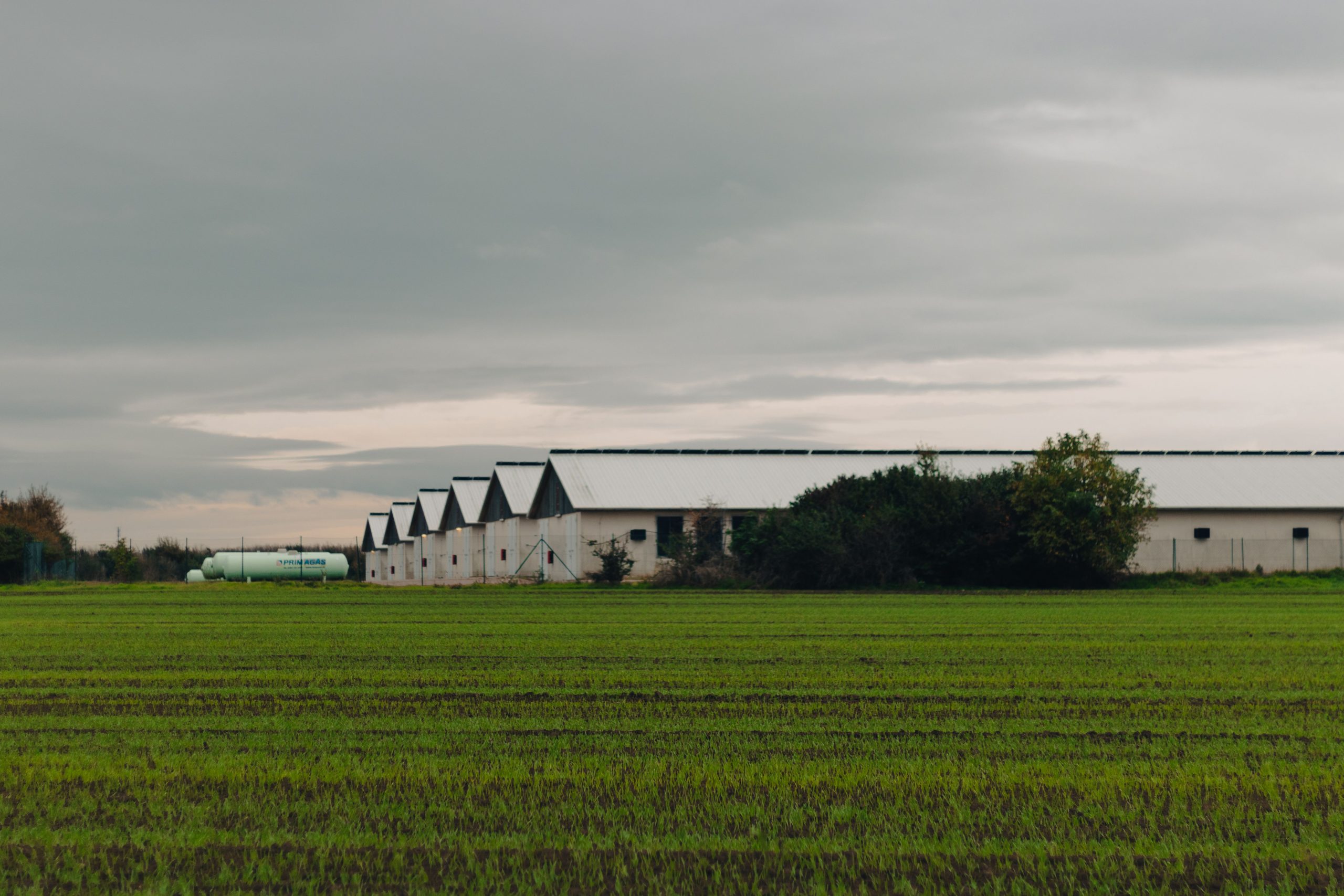 Modern farm buildings beside productive farmland, representing Seasonal farm financing, crop production loans, agricultural funding providers, livestock expansion financing, and greenhouse crop financing that support year-round agricultural growth and infrastructure investments.